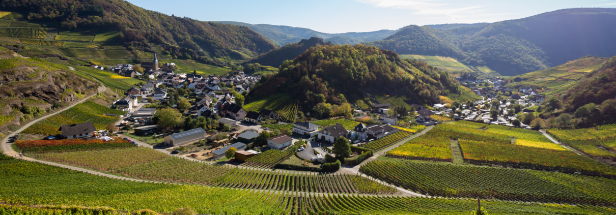 Blick auf die Ortschaft Mayschoss im Ahrtal , die Landschaft und einige Weinberge - Martina Wagner Immobilien