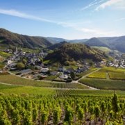 Blick auf die Ortschaft Mayschoss im Ahrtal , die Landschaft und einige Weinberge - Martina Wagner Immobilien