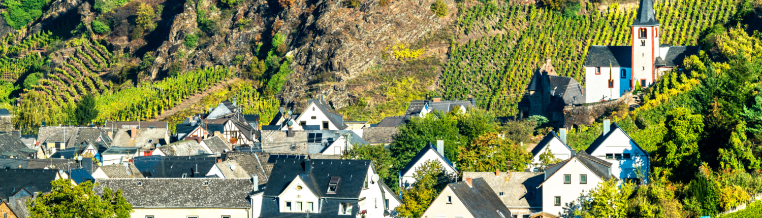 Alken town on the Moselle River in Rhineland-Palatinate, Germany Blick auf den Ort Alken an der Mosel mit Weinbergen und Berg im Hintergrund
