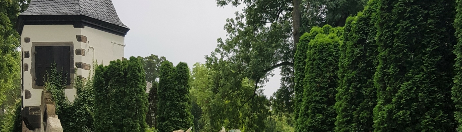 Kunst am Rhein in Andernach - Martina Wagner Immobilien