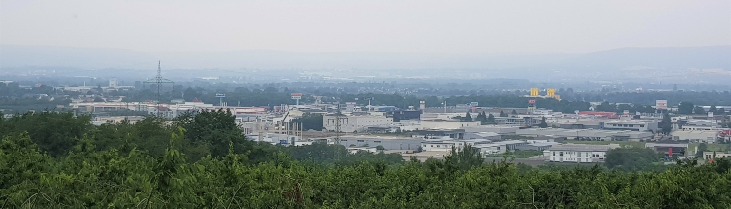 Mülheim-Kärlich Gewerbepark Blick auf den Gewerbepark Mülheim-Kärlich mit einer Obstbaumwiese im Vordergrund- Martina Wagner Immobilien