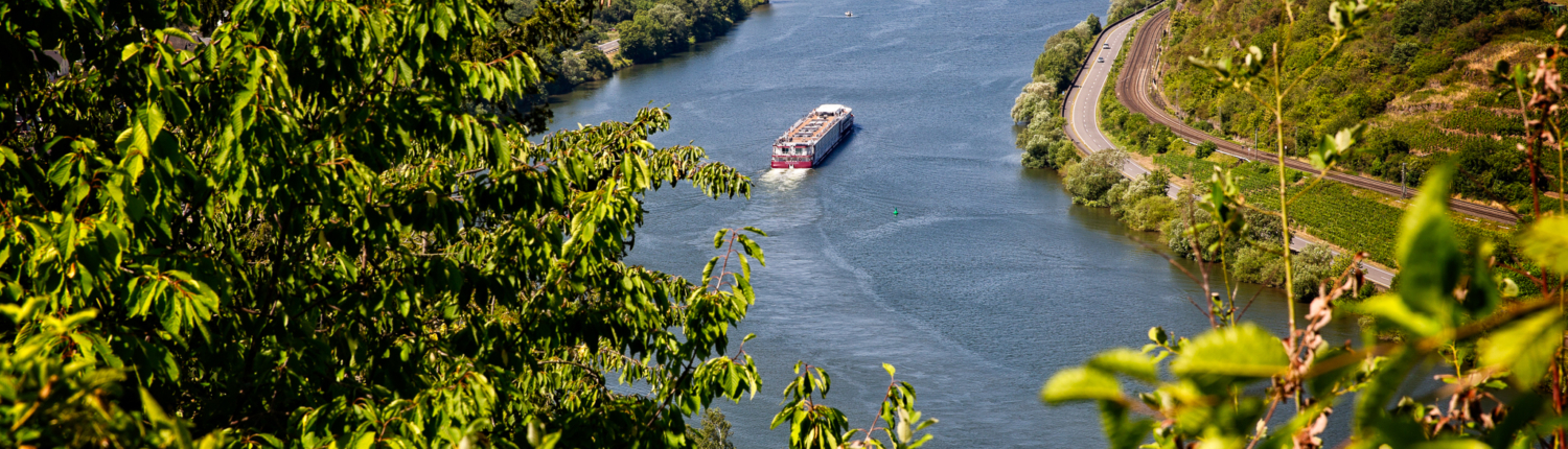 Moselblick Blick auf die Mosel und die Weinberge sowie eine Ortschaft - Martina Wagner Immobilien