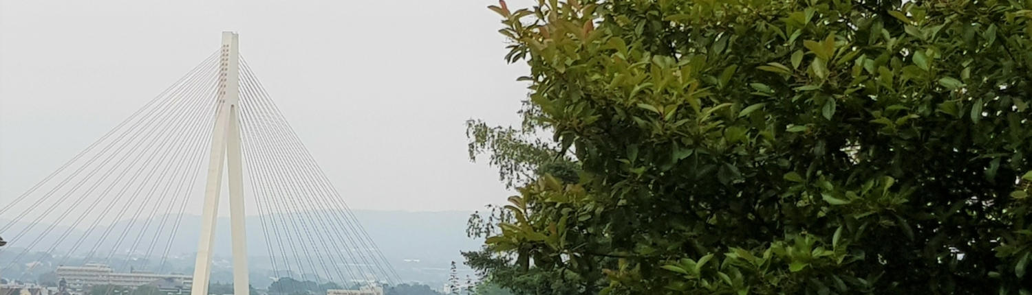 Neuwied Brücke Blick Neuwieder Brücke - Martina Wagner Immobilen