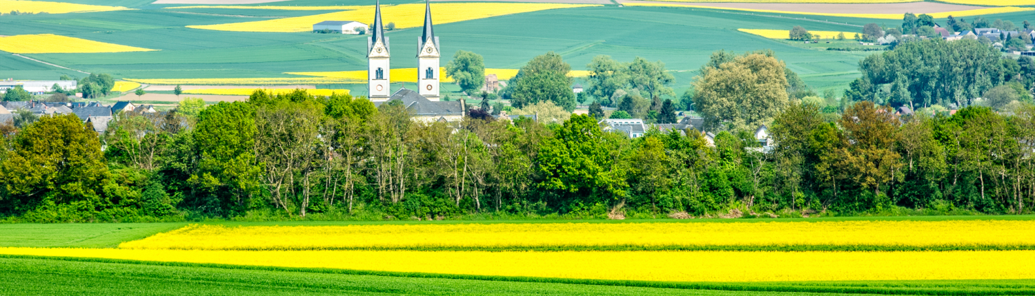 Blick auf das Maifeld. Im Bildmittelgrund befinden sich die Kirchtürme der Stadt Polch - Martina Wagner Immobilien
