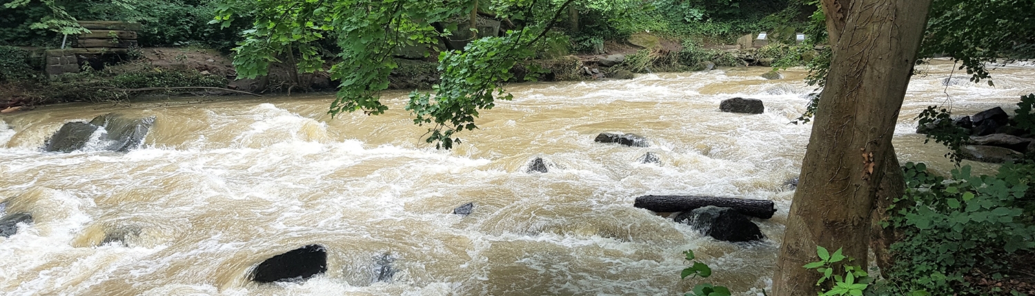 Der Rauschpark in Plaidt mit Blick auf die Nette nach dem Hochwasser - Martina Wagner Immobilien