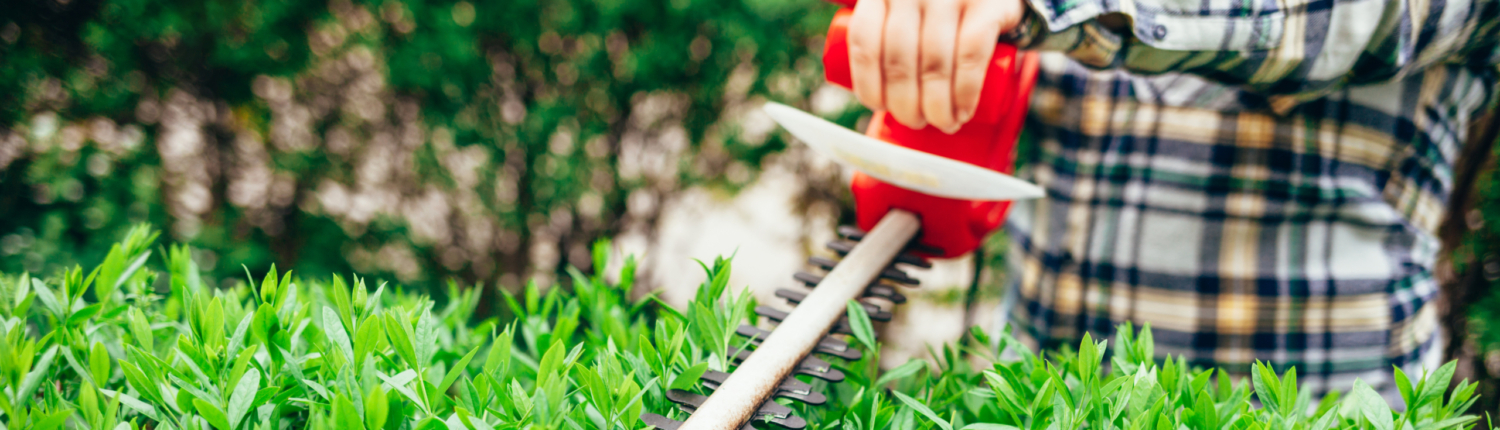 Ein Mann schneidet die Hecke mit einer Heckenschere - Martina Wagner Immobilien