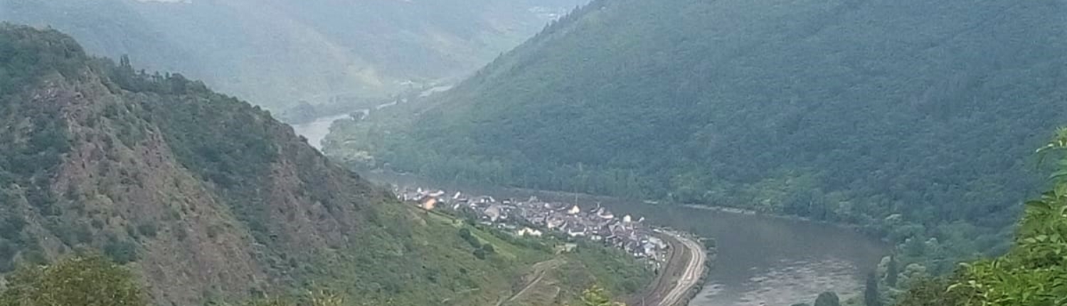Blick auf Mosel Untermosel aus der Höhenperspektive inklusive der Weinberge- Martina Wagner Immobilien