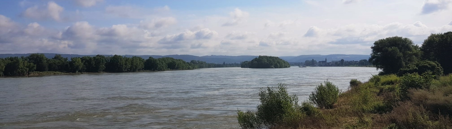 Blick auf den Rhein in Urmitz Blick auf den Rhein in Urmitz - Martina Wagner Immobilien