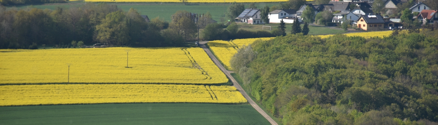 Landschaft im Ahrtal Landschaft im Ahrtal - Martina Wagner Immobilien
