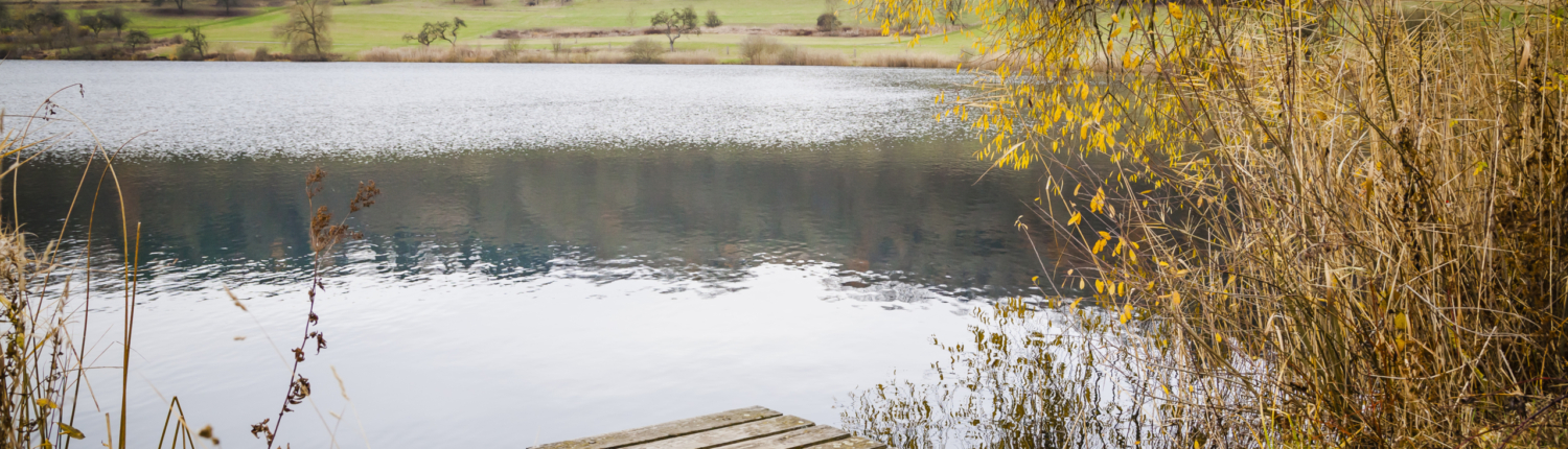 See im Ahrtal See im Ahrtal - Martina Wagner Immobilien