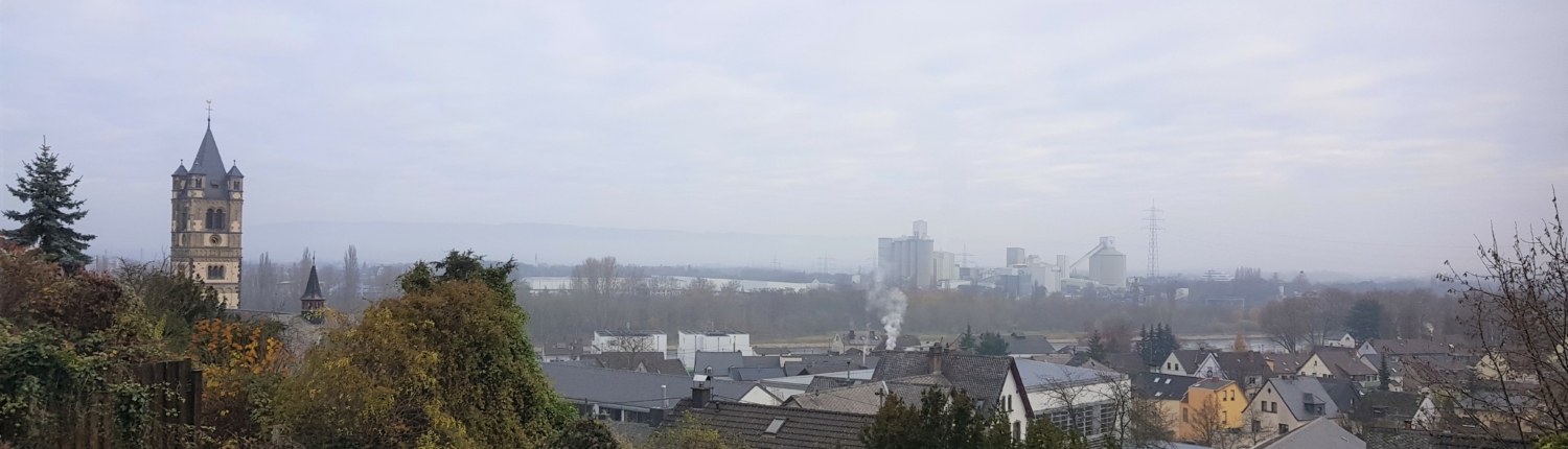 Weißenthurm Blick Richtung Rhein Weißenthurm - Martina Wagner Immobilien