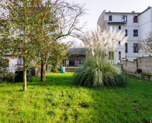 Stadthaus mit Garten Im Vordergrund ist eine Wiese mit Pampasgras rechts und Ilexbaum links. Im Bildhintergrund sind Gebäude zu sehen.