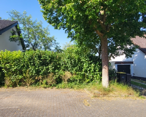Straßenansicht