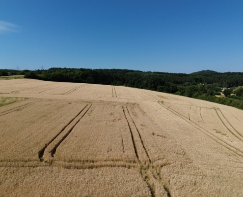 Ausblick in die Felder